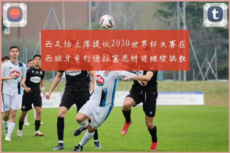 西足协主席提议2030世界杯决赛在西班牙举行德拉富恩特将继续执教国家队