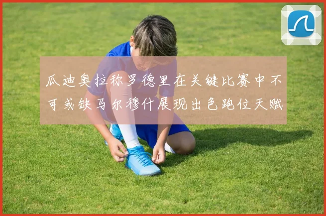 瓜迪奥拉称罗德里在关键比赛中不可或缺马尔穆什展现出色跑位天赋